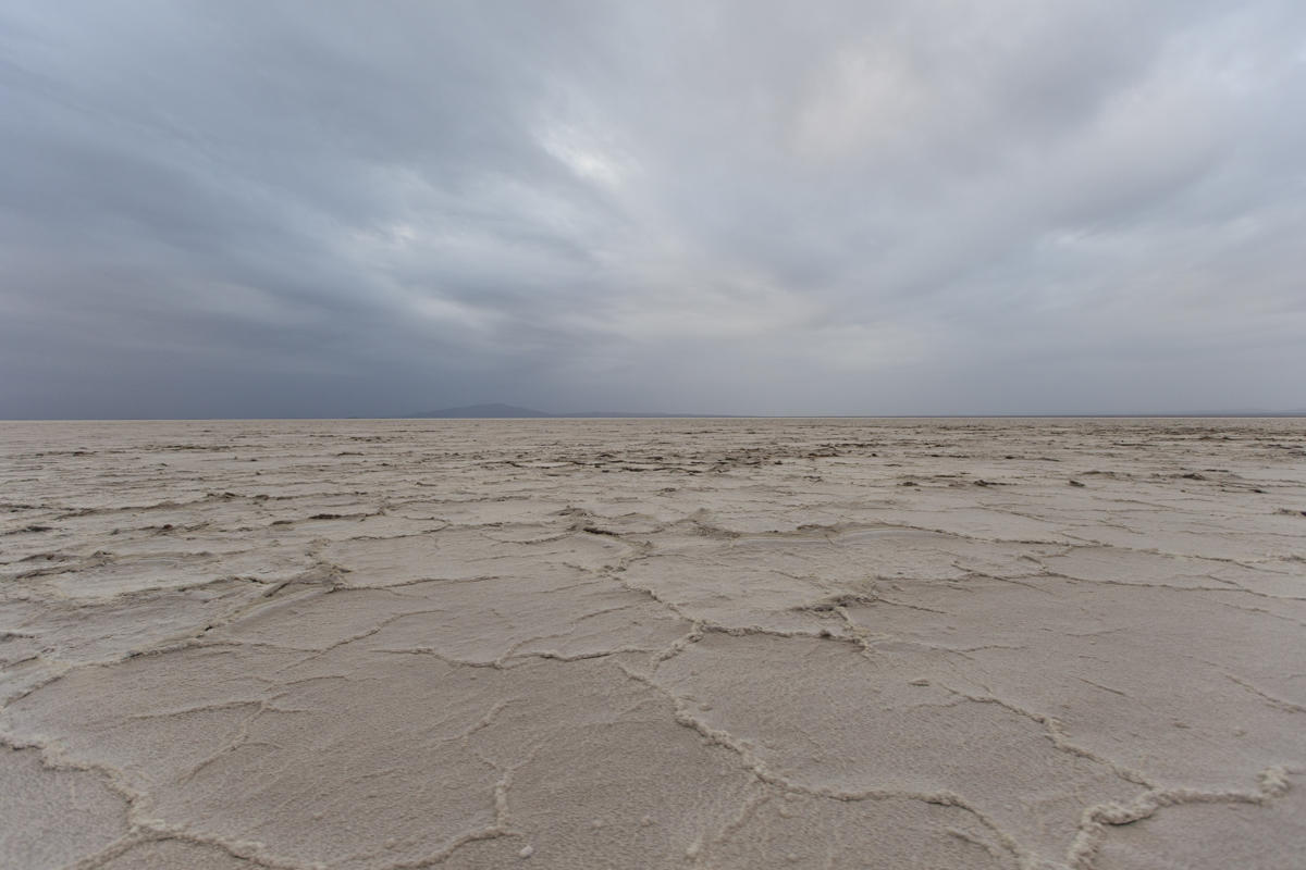 Xem lữ đoàn lạc đà chuyển muối trên sa mạc nóng bỏng nhất thế giới 6