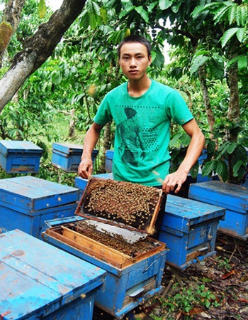 Nông dân 9x thu hơn trăm triệu từ nuôi ong, thu gom phế thải 2