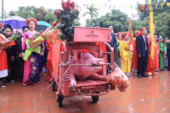 Hàng nghìn người dân kéo đến xem lễ chém lợn ở Ném Thuợng, hai ông ỉ bắt đầu được đưa ra sân đình - Ảnh 4. Hàng nghìn người dân kéo đến xem lễ chém lợn ở Ném Thuợng, hai 'ông ỉ' bắt đầu được đưa ra sân đình 4