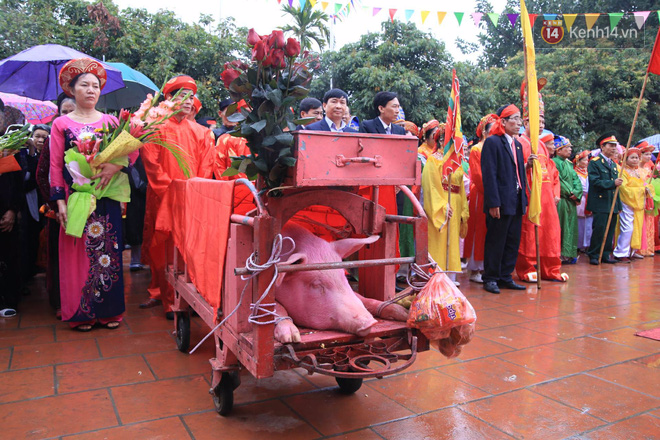Hàng nghìn người dân kéo đến xem lễ chém lợn ở Ném Thuợng, hai ông ỉ bắt đầu được đưa ra sân đình - Ảnh 7. Hàng nghìn người dân kéo đến xem lễ chém lợn ở Ném Thuợng, hai 'ông ỉ' bắt đầu được đưa ra sân đình 7
