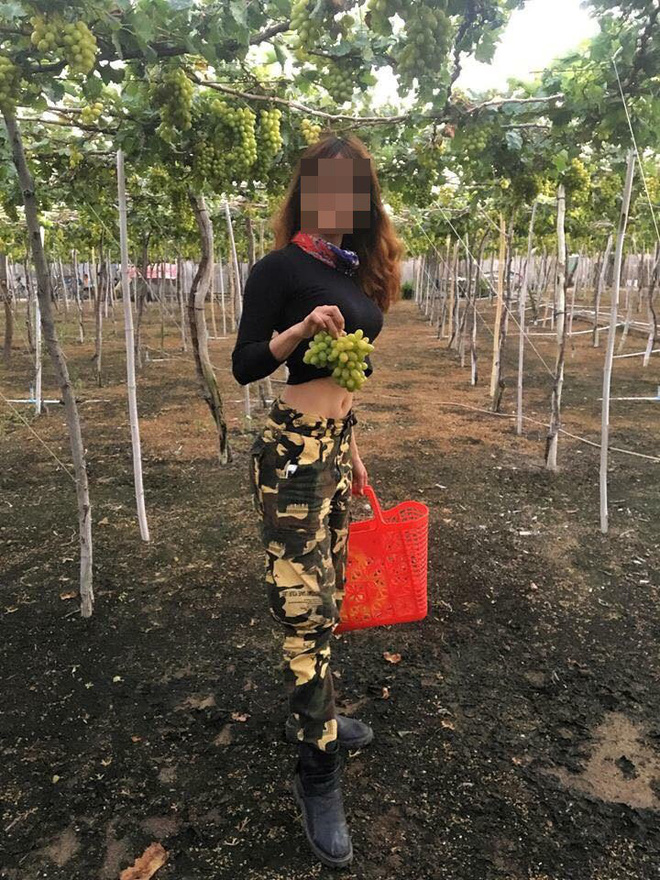 Nữ phượt thủ ngửa cổ ăn nho trên giàn, còn tố chủ vườn Ninh Thuận: Con gái chủ vườn tức giận lên tiếng! - Ảnh 4. Nữ phượt thủ ngửa cổ táp nho trên giàn, còn tố chủ vườn Ninh Thuận: Con gái chủ vườn tức giận lên tiếng! 4