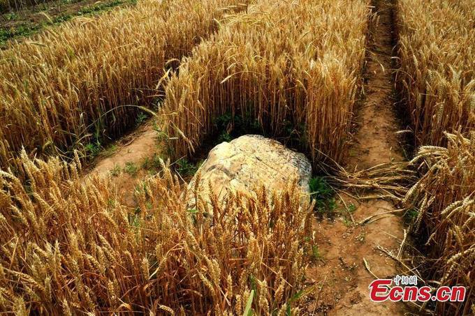 Sự thật đằng sau ngọn núi nhỏ nhất Trung Quốc chỉ cần một bước chân đã có thể trèo qua - Ảnh 3. Sự thật đằng sau ngọn núi nhỏ nhất Trung Quốc chỉ cần một bước chân đã có thể trèo qua 3