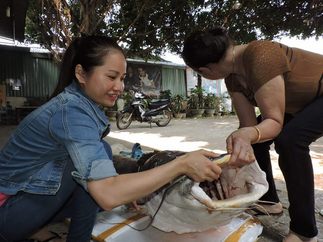 Người dân Đắk Lắk bắt được 'thuỷ quái' cá lăng gần 100kg 1