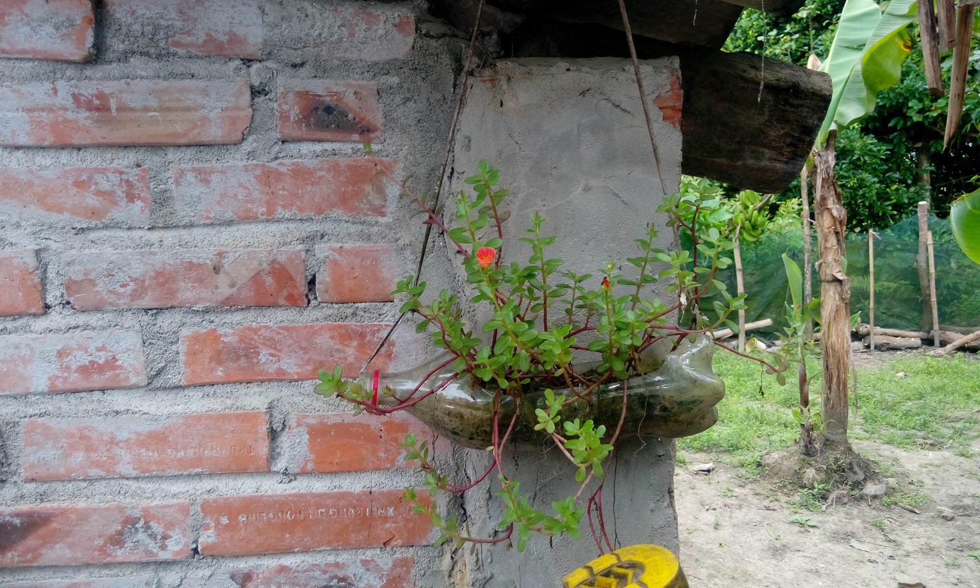 9X đăng cảnh quê nghèo, kể chuyện quái tính của gia đình bỗng khiến dân mạng ghen tị nứt lòng vì lý do này - Ảnh 2. 9X đăng cảnh quê nghèo, kể chuyện 'quái tính' của gia đình bỗng khiến dân mạng ghen tị nứt lòng vì lý do này 5