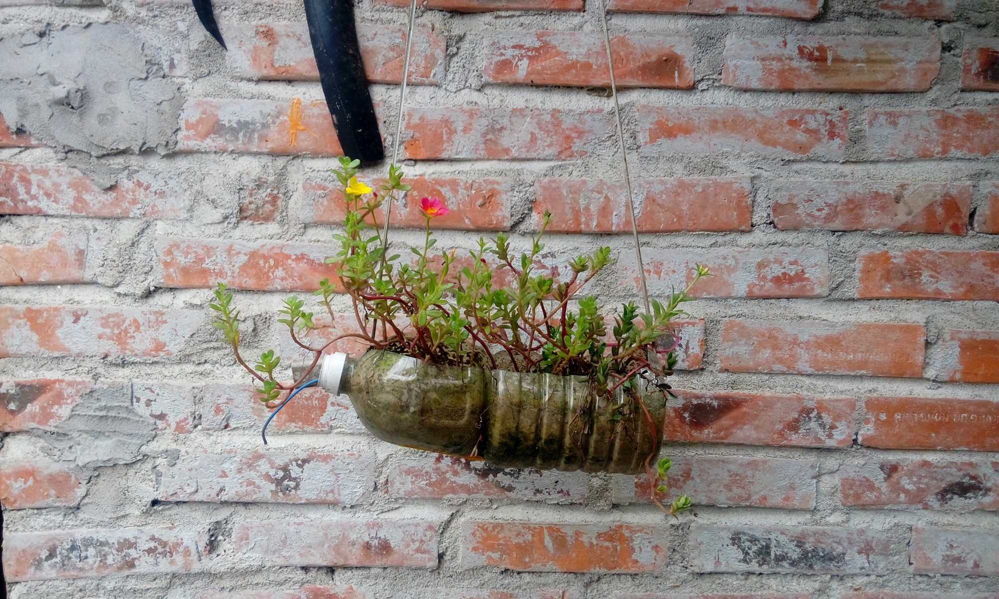 9X đăng cảnh quê nghèo, kể chuyện quái tính của gia đình bỗng khiến dân mạng ghen tị nứt lòng vì lý do này - Ảnh 7. 9X đăng cảnh quê nghèo, kể chuyện 'quái tính' của gia đình bỗng khiến dân mạng ghen tị nứt lòng vì lý do này 13