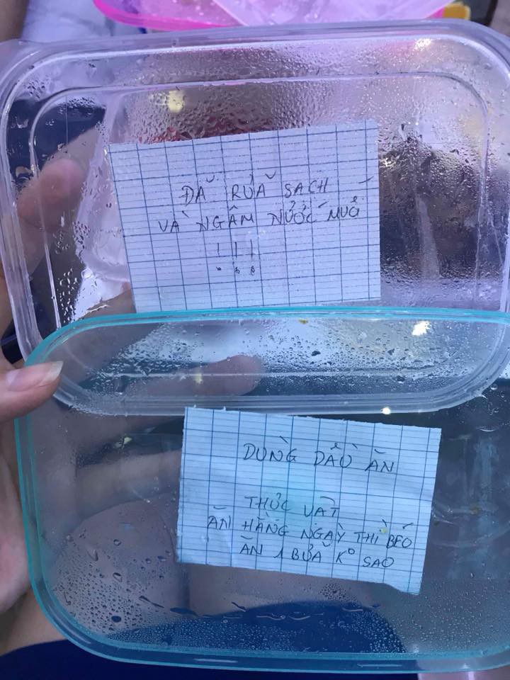Thả thính theo đường dạ dày như anh chàng này thì đảm bảo các thanh niên không bao giờ bị ế - Ảnh 3. Thả thính theo đường dạ dày như anh chàng này thì đảm bảo các thanh niên không bao giờ bị ế 3