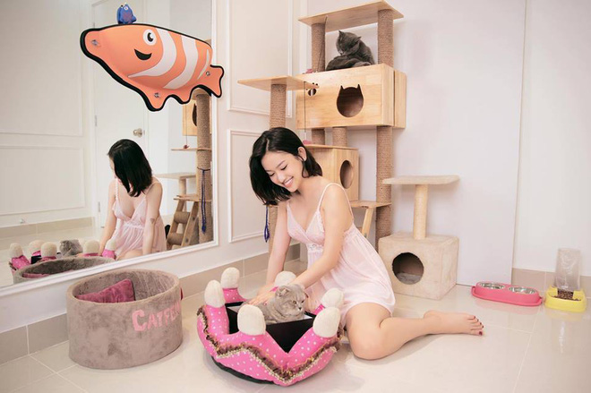 Thúy Vi đổi đời thế nào sau 3 năm dùng Phan Thành làm bàn đạp để nổi tiếng? - Ảnh 8. Thúy Vi đổi đời thế nào sau 3 năm dùng Phan Thành làm 'bàn đạp' để nổi tiếng? 8