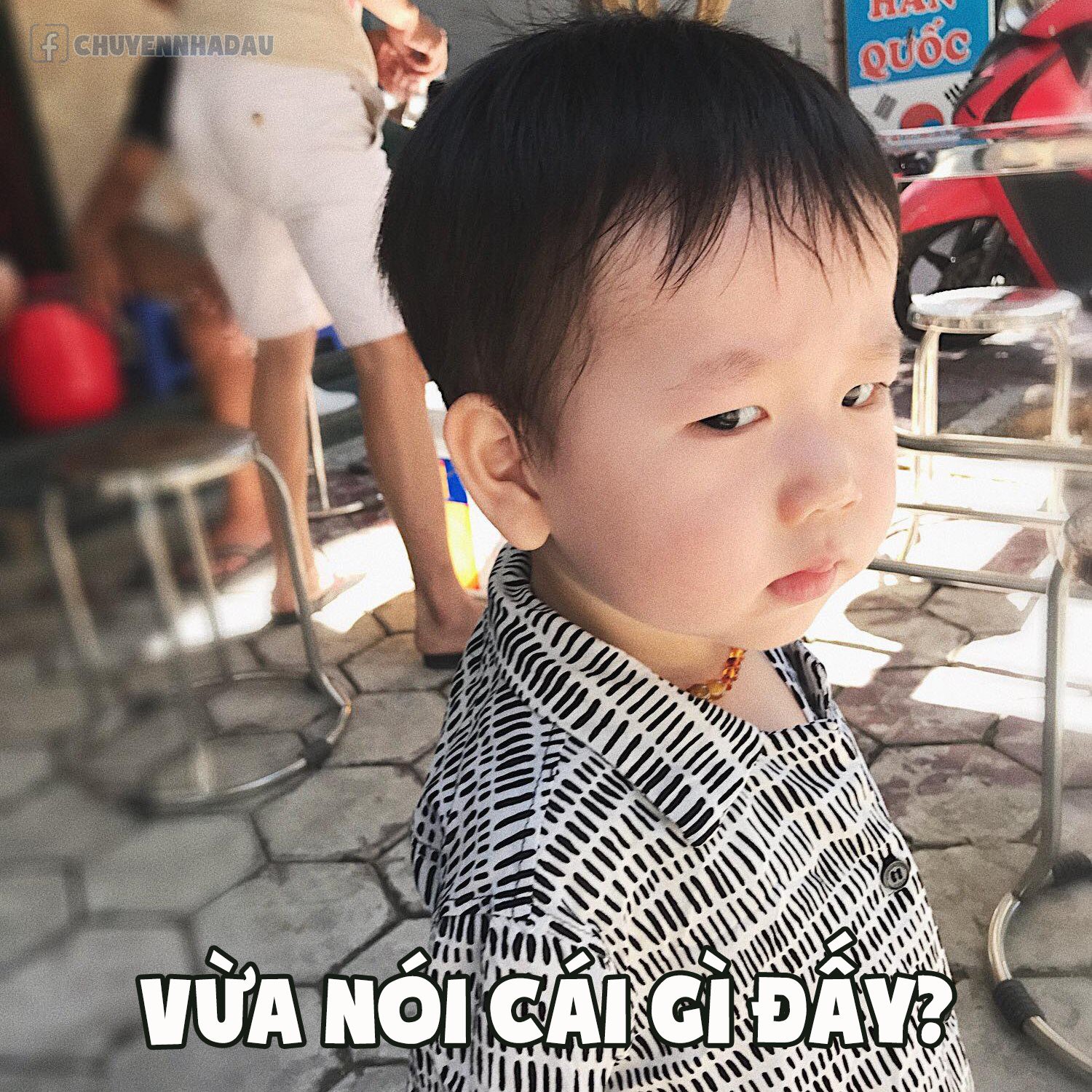 Loạt ảnh chế meme đưa Đậu nhà Thương - Ba Duy lên ngôi em bé có gương mặt giải trí nhất MXH - Ảnh 3. Loạt ảnh chế 'meme' đưa Đậu nhà Nam Thương - Ba Duy lên ngôi em bé có gương mặt giải trí nhất MXH 2