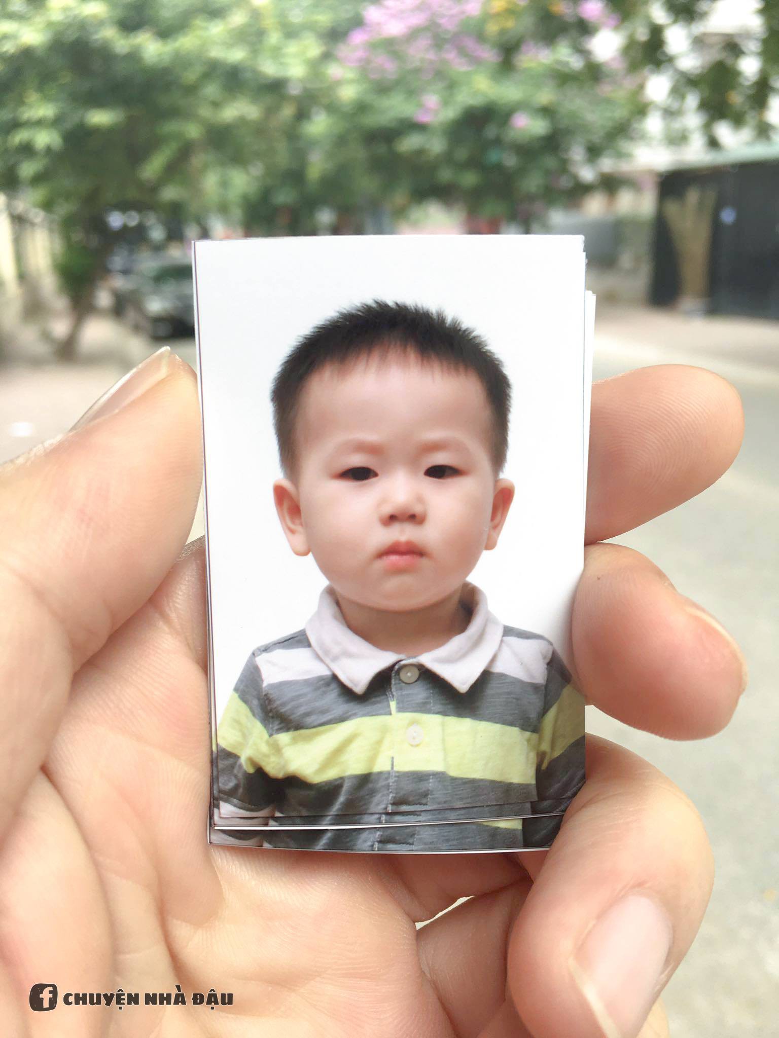 Loạt ảnh chế meme đưa Đậu nhà Thương - Ba Duy lên ngôi em bé có gương mặt giải trí nhất MXH - Ảnh 17. Loạt ảnh chế 'meme' đưa Đậu nhà Nam Thương - Ba Duy lên ngôi em bé có gương mặt giải trí nhất MXH 9