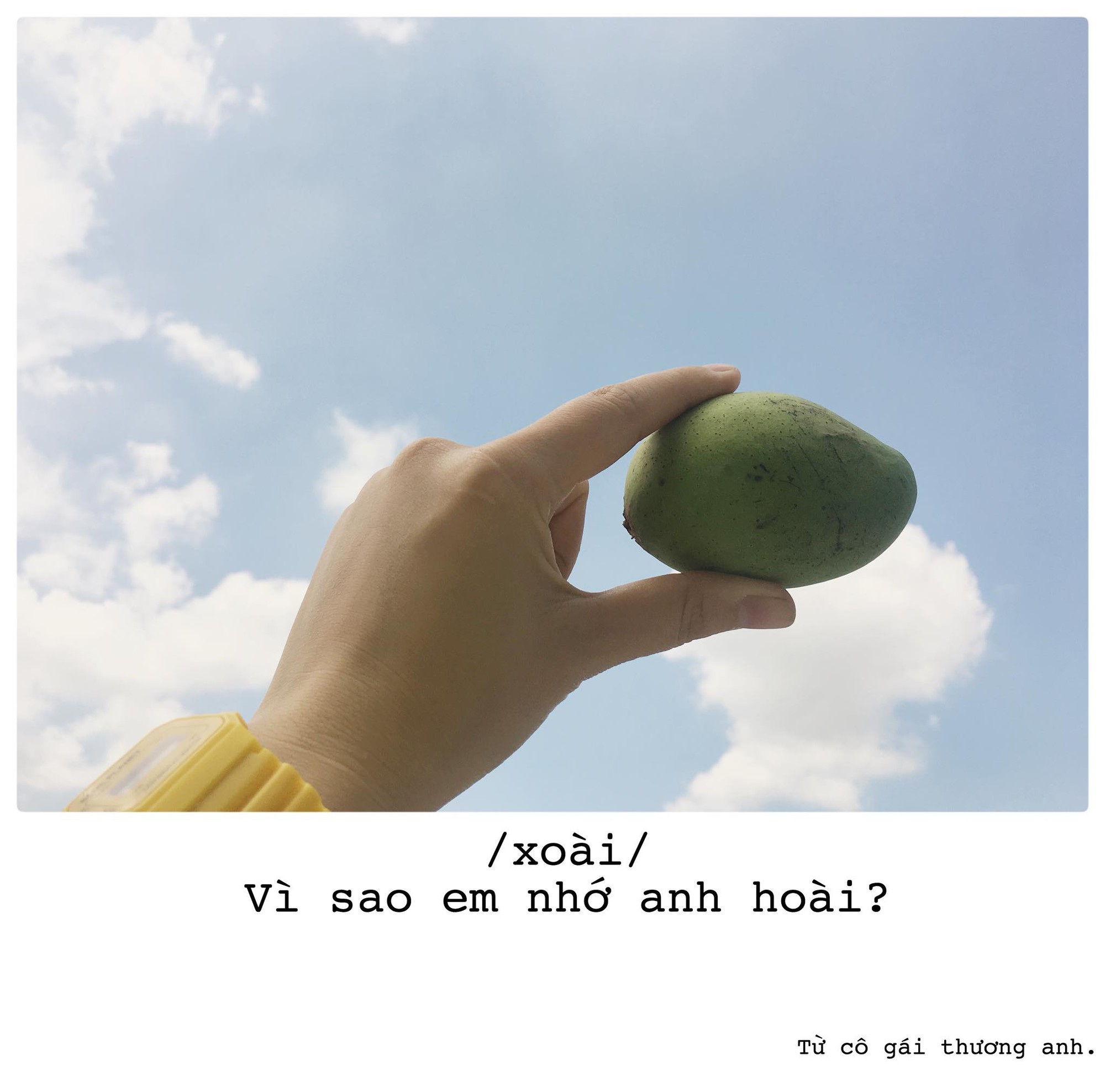 Góc bậc thầy thả thính: Cô gái trẻ dùng đủ loại trái cây thay lời yêu gửi cho crush - Ảnh 1. Góc bậc thầy thả thính: Cô gái trẻ dùng đủ loại trái cây thay lời yêu gửi cho crush 1