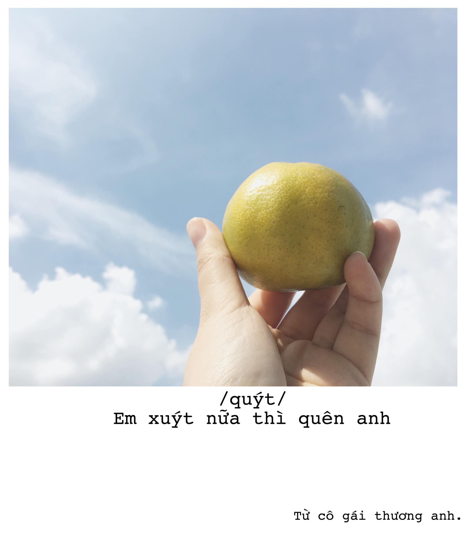 Góc bậc thầy thả thính: Cô gái trẻ dùng đủ loại trái cây thay lời yêu gửi cho crush - Ảnh 6. Góc bậc thầy thả thính: Cô gái trẻ dùng đủ loại trái cây thay lời yêu gửi cho crush 6
