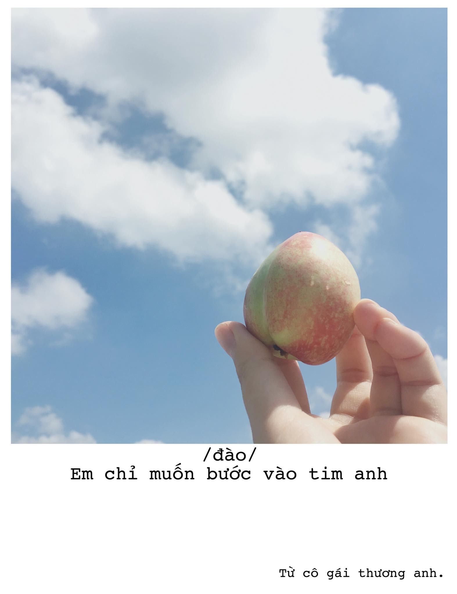 Góc bậc thầy thả thính: Cô gái trẻ dùng đủ loại trái cây thay lời yêu gửi cho crush - Ảnh 7. Góc bậc thầy thả thính: Cô gái trẻ dùng đủ loại trái cây thay lời yêu gửi cho crush 7