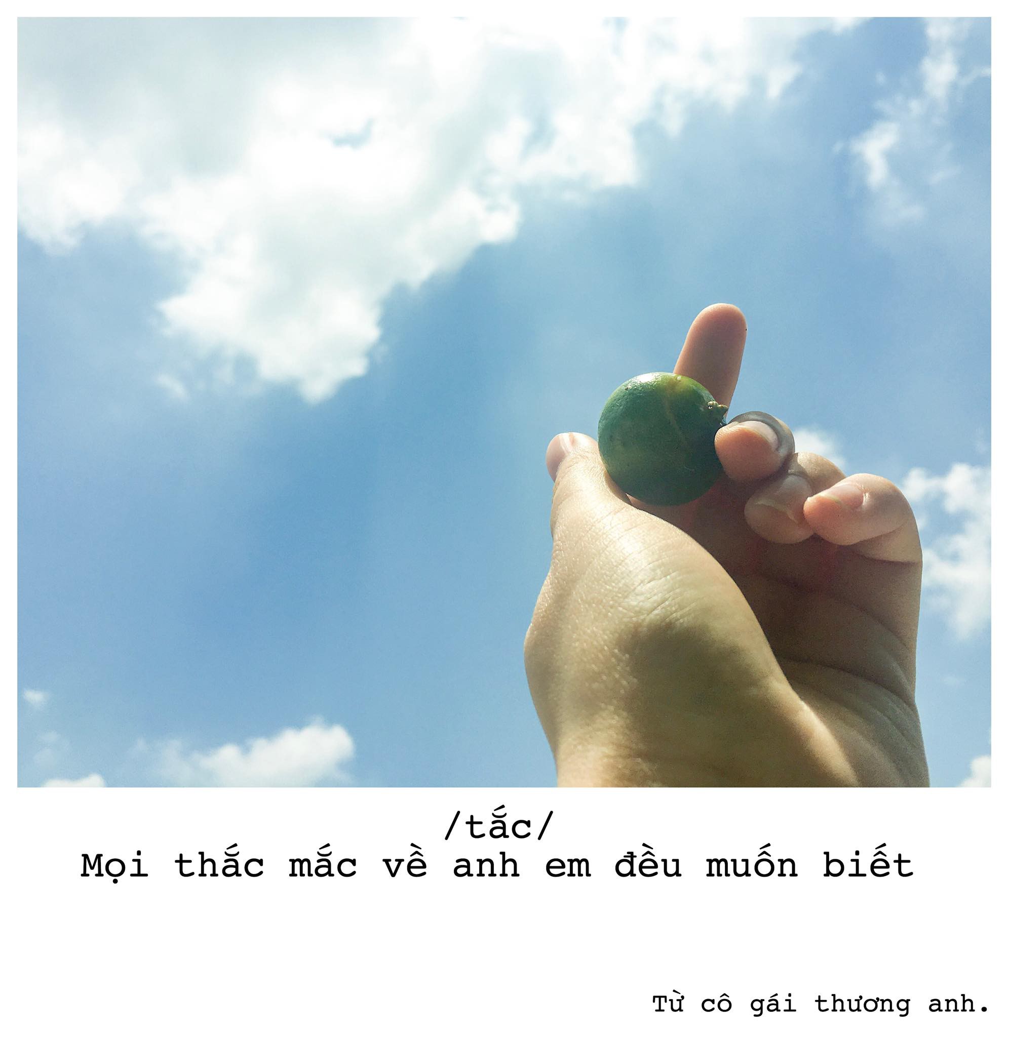 Góc bậc thầy thả thính: Cô gái trẻ dùng đủ loại trái cây thay lời yêu gửi cho crush - Ảnh 8. Góc bậc thầy thả thính: Cô gái trẻ dùng đủ loại trái cây thay lời yêu gửi cho crush 8