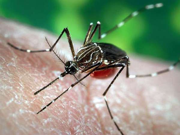 Trong muôn vàn dịch bệnh chết người, đâu là con virus nguy hiểm nhất lịch sử? Đáp án sẽ khiến tất cả phải giật mình - Ảnh 4. Trong muôn vàn dịch bệnh chết người, đâu là con virus nguy hiểm nhất lịch sử? Đáp án sẽ khiến tất cả phải giật mình 4