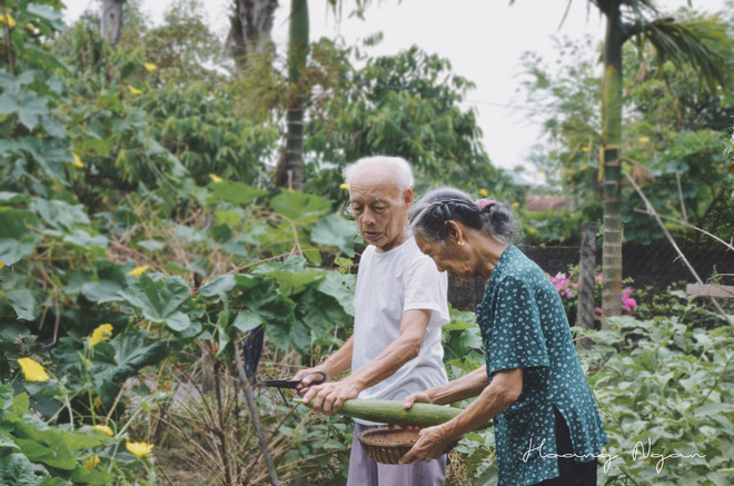Bộ ảnh ông chải tóc, đọc thơ cho bà được chia sẻ nhiều nhất trong vòng 24 giờ và những tiết lộ phía sau - Ảnh 6. Bộ ảnh ông chải tóc, đọc thơ cho bà được chia sẻ nhiều nhất trong vòng 24 giờ và những tiết lộ phía sau 6