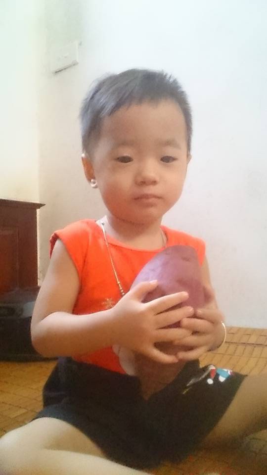 Góc khéo tay: Thanh niên Hà Nội trồng khoai trong thùng xốp chơi chơi, ai ngờ ra củ béo múp xịn hơn ngoài chợ - Ảnh 5. Góc khéo tay: Thanh niên Hà Nội trồng khoai trong thùng xốp chơi chơi, ai ngờ ra củ béo múp xịn hơn ngoài chợ 5