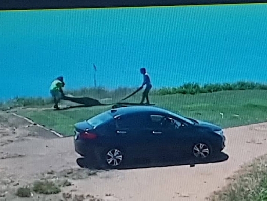 Truy tìm 2 thanh niên đi ô tô lên bán đảo Sơn Trà trộm 100 m2 cỏ nhân tạo 1