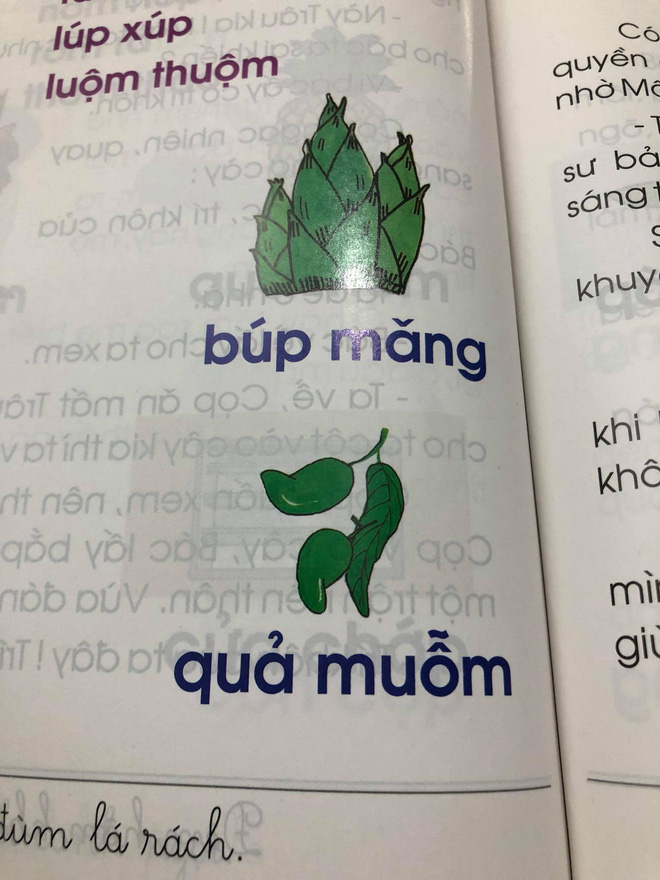 Phụ huynh lo ngại trước bộ sách Tiếng Việt lớp 1: 'Các thành ngữ đều nặng nề, bài đọc thì xỉa xói nhiều hơn là giáo dục' 5