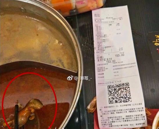 Thai phụ ăn phải nồi lẩu có xác chuột chết, nhà hàng gây phẫn nộ khi đòi cho tiền để phá thai nếu đứa trẻ trong bụng bị ảnh hưởng 1
