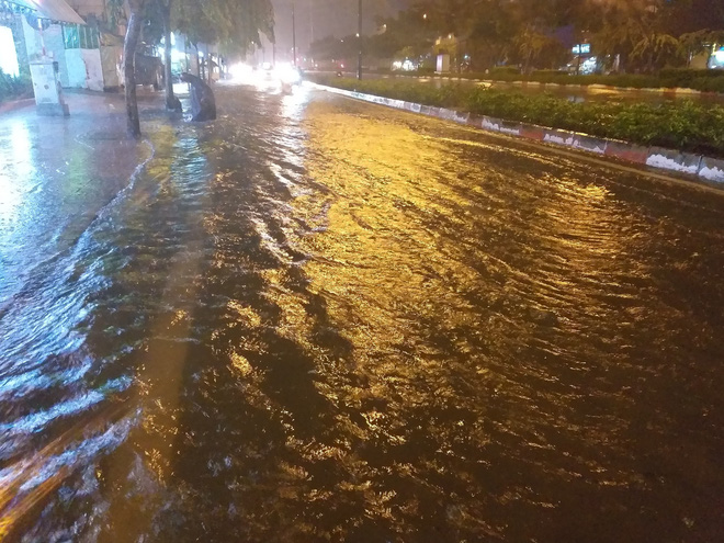 Đại lộ đẹp nhất Sài Gòn ngập sâu trong cơn mưa lớn - Ảnh 3. Đại lộ đẹp nhất Sài Gòn ngập sâu trong cơn mưa lớn 3