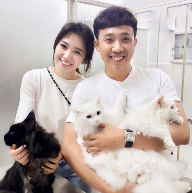 Vợ chồng Trấn Thành và chuyện gây cười về con mèo ngoại giá 3000 USD bị cạo trụi lông - Ảnh 1. Vợ chồng Trấn Thành và chuyện gây cười về con mèo ngoại giá 3000 USD bị cạo trụi lông 1