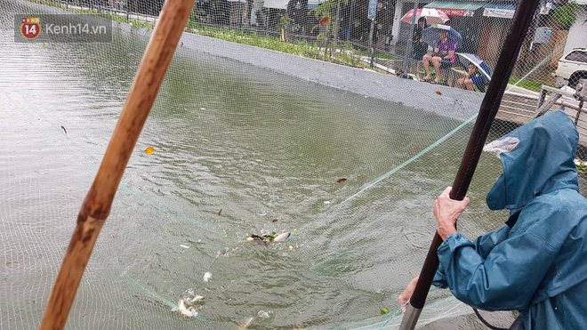 Hình ảnh chưa từng có ở Đà Nẵng: Xuồng 'bơi' trên phố, người dân quăng lưới bắt cá giữa biển nước mênh mông 2