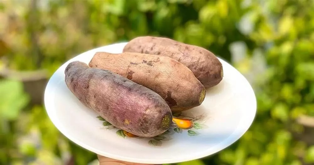 Luộc khoai lang bỏ một thứ này, đảm bảo khoai bở tung, ăn còn ngọt lịm 3 Luộc khoai lang bỏ một thứ này, đảm bảo khoai bở tung, ăn còn ngọt lịm 3