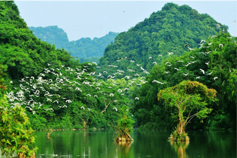 Khu du lịch Thung Nham - hòa mình với thiên nhiên