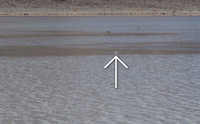 Khoa học giải mã thành công bí ẩn của loại đá có thể nổi trên mặt nước