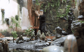 Bị cao thủ Vịnh Xuân vạch “tử huyệt”, võ sư Karate ra lời đáp hùng hồn