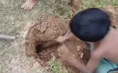 Clip: Tay không săn rắn, hai đứa trẻ châu Á khiến 35 triệu người sửng sốt