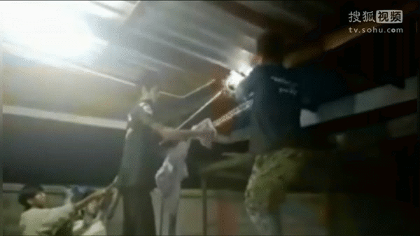 Nằm vắt vẻo trên xà ngang nhà dân, rắn khổng lồ bị vây bắt vào lúc nửa đêm