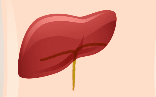 Dấu hiệu cảnh báo gan đang chứa đầy độc tố, nhiễm độc: Số 2 và 4 nhiều người gặp