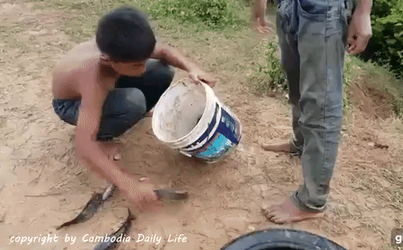 Đem lốp xe cũ ra bờ sông, hai cậu bé Campuchia ẵm đầy thúng cá