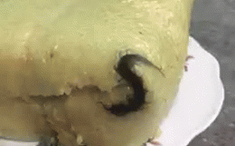 Mua bánh chưng về cúng giỗ, cô gái phát hoảng khi thấy nguyên xác con rết đen sì bên trong