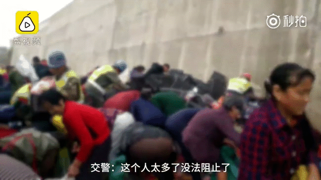 Bất chấp lời cầu xin từ tài xế, người dân thi nhau 'hôi của' khi xe tải chở 9 tấn táo lật đổ trên đường