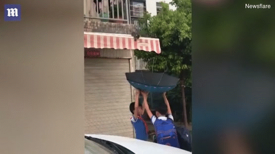 Dùng ô cứu chú mèo bị mắc kẹt, hai nam sinh tiểu học được cư dân mạng rào rào ngợi khen vì quá nhanh trí