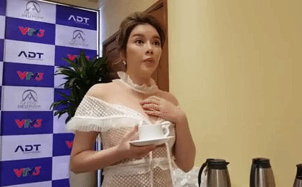 Lý Nhã Kỳ xuất hiện tại Hà Nội sau tin đồn bị bắt khẩn cấp