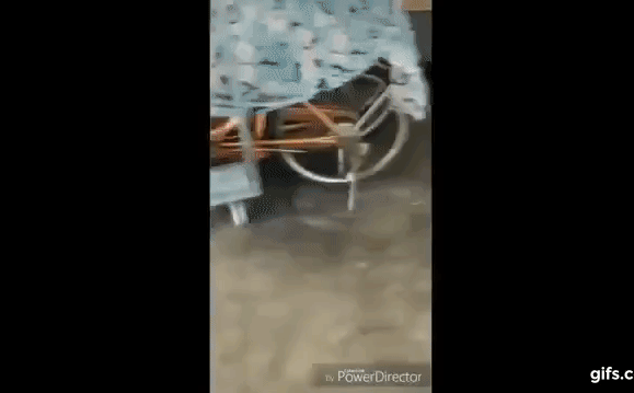 Đây là những nơi dễ thu hút rắn tìm đến, yếu tố thứ ba nhà nào cũng có thể mắc phải