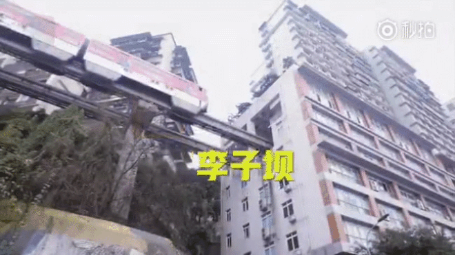 Chú chó già đến ga tàu để đợi chủ trở về mỗi ngày suốt gần 8 năm ròng gây sốt mạng xã hội Trung Quốc