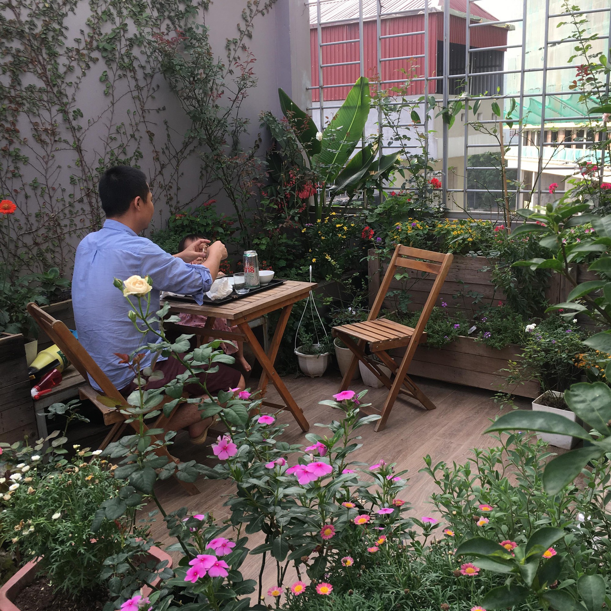 Khu vườn sân thượng trồng cho vui mà cây nào cũng thắm hoa trĩu quả của bà mẹ 8x mát tay - Ảnh 7. Khu vườn sân thượng trồng cho vui mà cây nào cũng thắm hoa trĩu quả của bà mẹ 8x mát tay 6