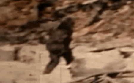 'Dã nhân giống Bigfoot': Có thể giết và ăn thịt bất cứ sinh vật nào bắt gặp trên đường