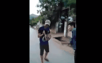 Clip: Người dân tay không bắt rắn hổ mang chúa dài gần 2m