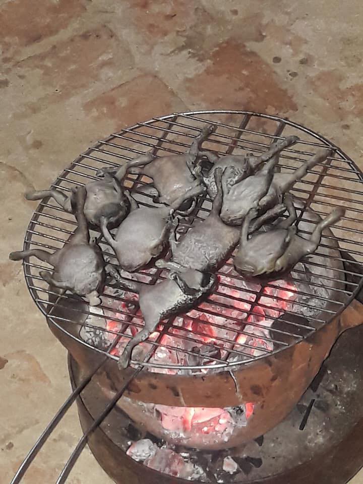 Góc đặc sản: Món ếch nướng cả con không bỏ gì hết khiến dân mạng băn khoăn có nên làm thử hay không - Ảnh 3. Góc đặc sản: Món ếch nướng cả con không bỏ gì hết khiến dân mạng băn khoăn có nên làm thử hay không 3