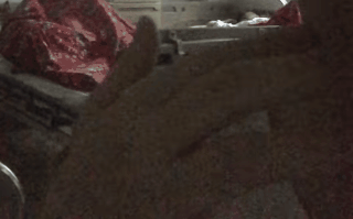 Sốc với đôi nam nữ trùm chăn ôm nhau, nghi ''mây mưa'' ngay trên giường bệnh viện, chị bệnh nhân ngứa mắt quay lại clip