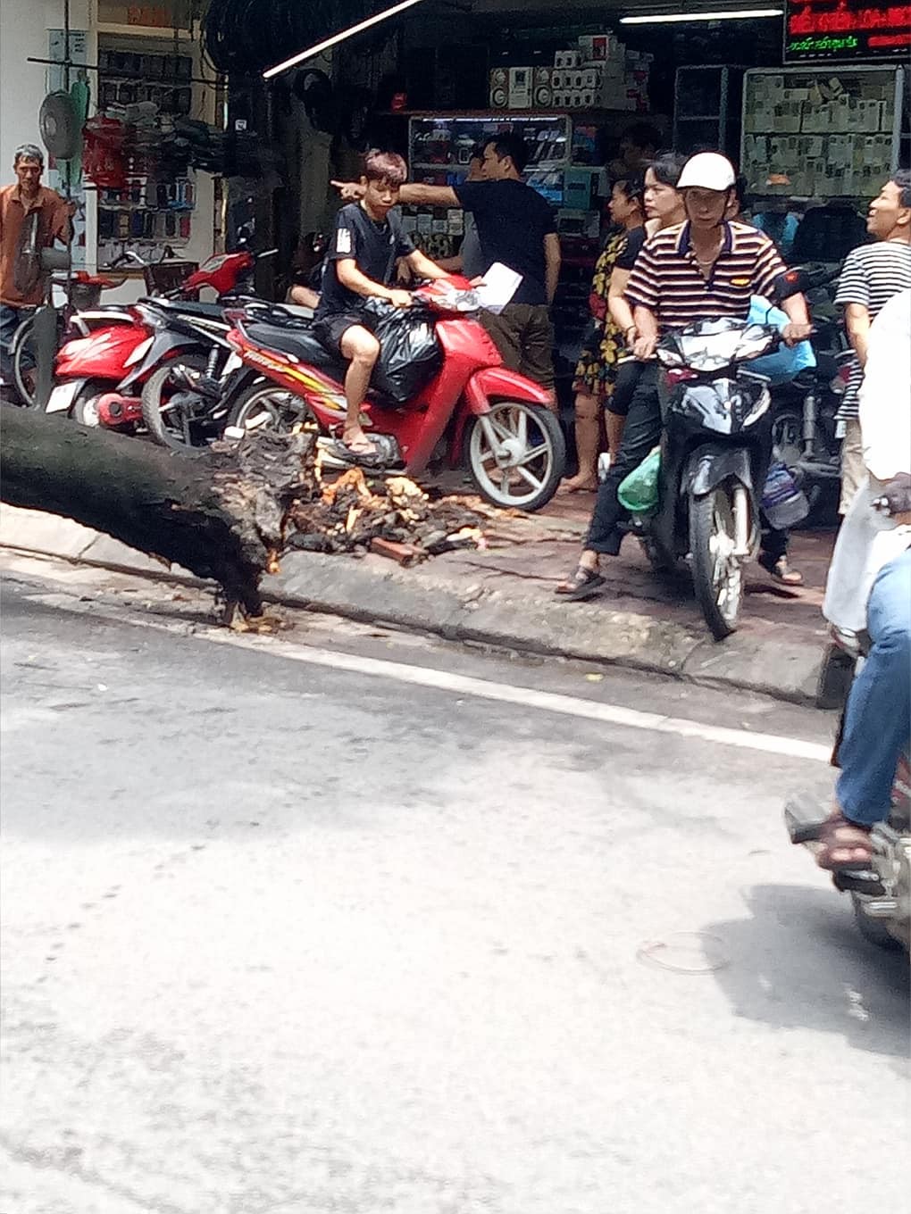 Hà Nội: Ô tô đang đỗ yên lành ven đường thì bị nguyên cây phượng lớn đổ trúng - Ảnh 3. Hà Nội: Ô tô đang đỗ yên lành ven đường thì bị nguyên cây phượng lớn đổ trúng 3