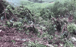 Video: Toàn cảnh hiện trường vụ máy bay Su-22 rơi trên núi tại Nghệ An