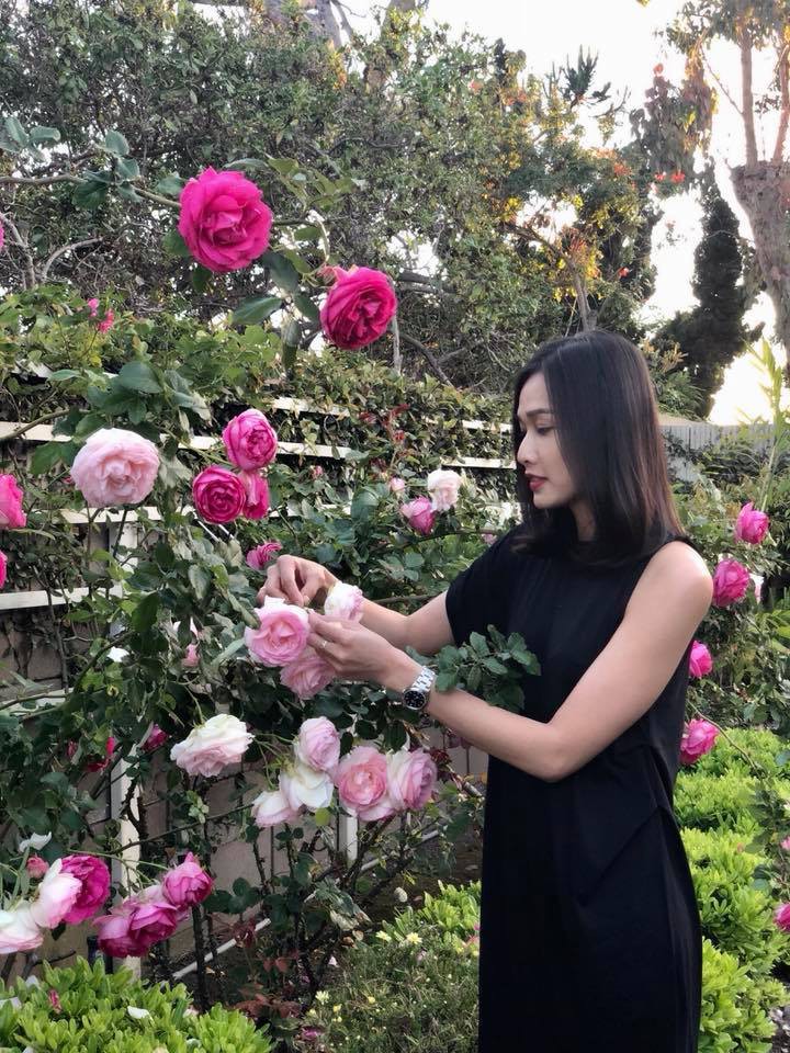 Khu vườn ngọt ngào với hoa hồng và cây trái sai trĩu trên đất Mỹ của Hoa hậu Dương Mỹ Linh 8