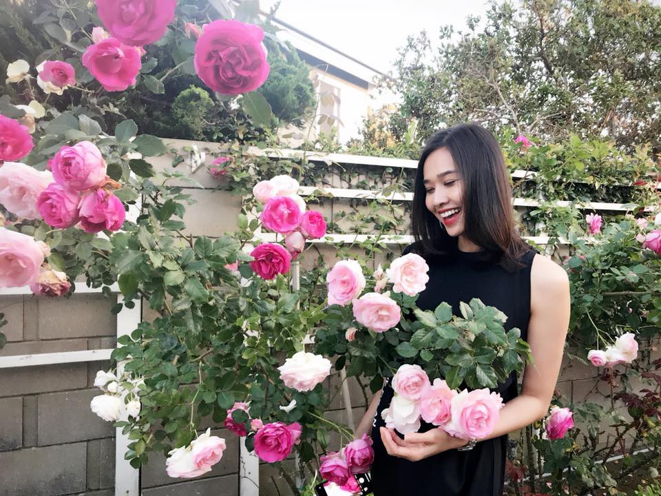 Khu vườn ngọt ngào với hoa hồng và cây trái sai trĩu trên đất Mỹ của Hoa hậu Dương Mỹ Linh 7