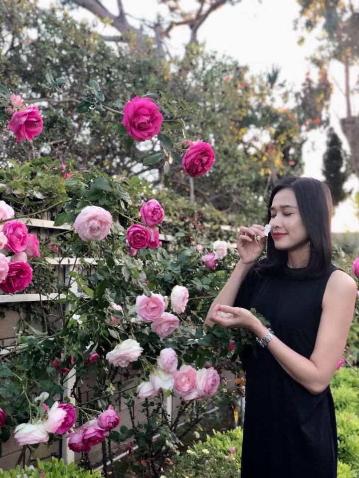 Khu vườn ngọt ngào với hoa hồng và cây trái sai trĩu trên đất Mỹ của Hoa hậu Dương Mỹ Linh 6